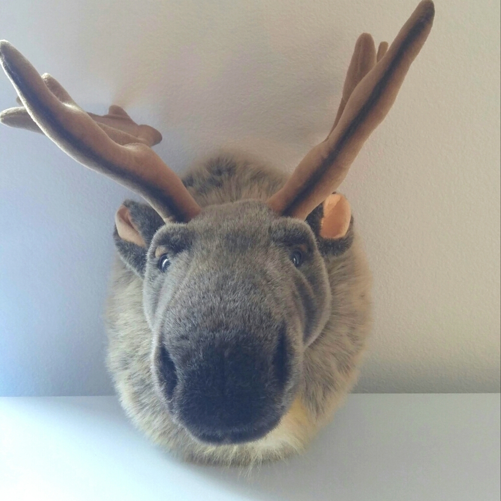 Moose Head Wall Hanging Taxidermy like Antlers